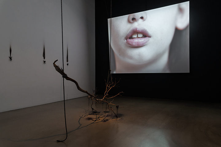 http://www.stephaniemisa.com/files/gimgs/49_stephanie-misa-an-altar-for-the-fleshy-tongue-rmit-gallery-2023-photo-by-sebastian-kainey1500px-12.jpg
