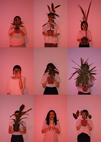 http://www.stephaniemisa.com/files/gimgs/53_1692893448mailingplants.jpg